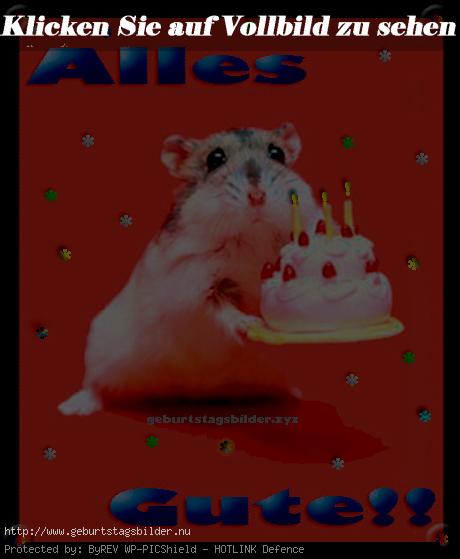 Hamster mit Geburtstagstorte